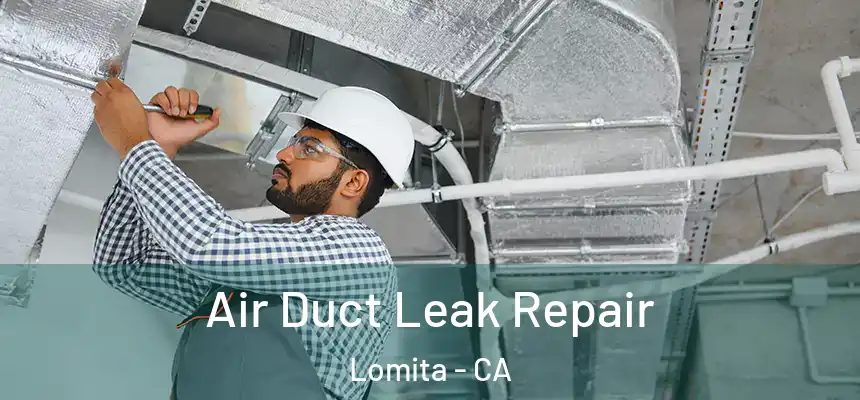  Air Duct Leak Repair Lomita - CA