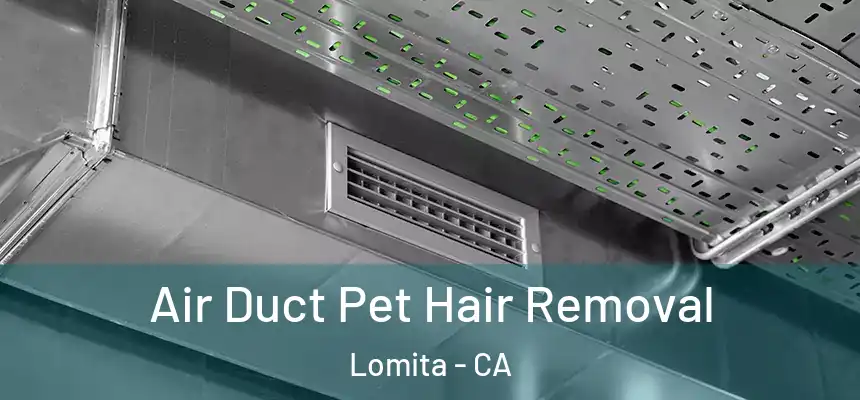 Air Duct Pet Hair Removal Lomita - CA