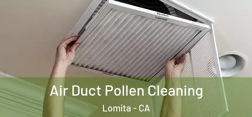  Air Duct Pollen Cleaning Lomita - CA