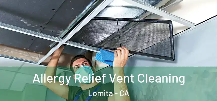  Allergy Relief Vent Cleaning Lomita - CA