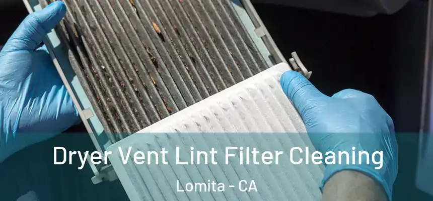 Dryer Vent Lint Filter Cleaning Lomita - CA