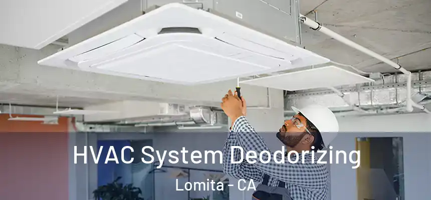  HVAC System Deodorizing Lomita - CA
