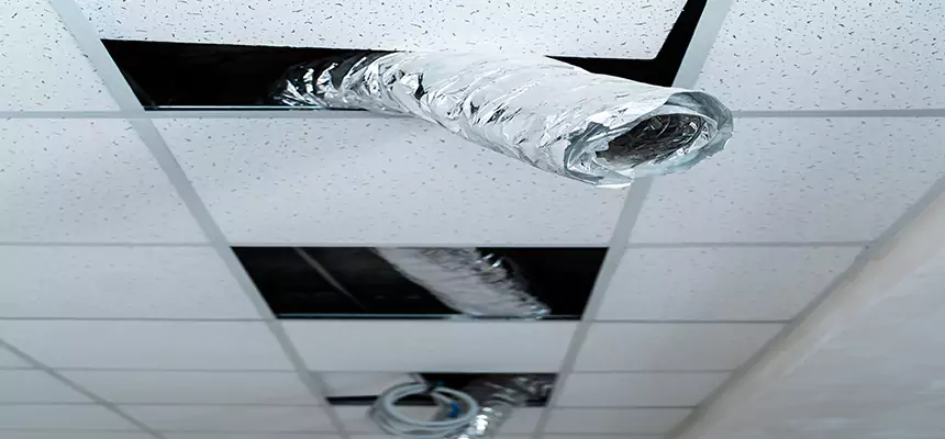 Our Air Duct Pet Hair Removal Services in Lomita, CA