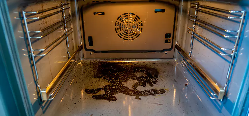 Our Dryer Vent Mold Cleaning Services in Lomita, CA