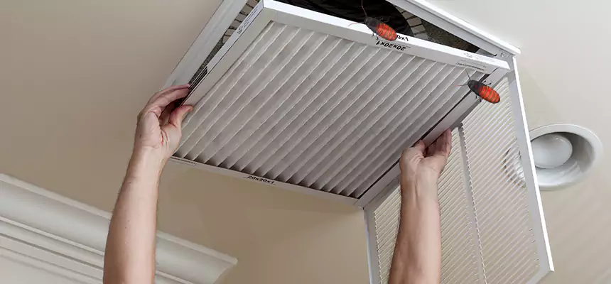 Our Insect Removal from Air Ducts Services in Lomita, CA