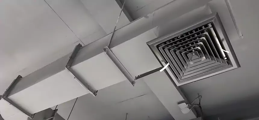 Our Pest Removal From Ducts Services in Lomita, CA