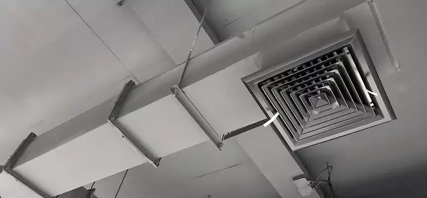 Our Rodent Droppings In Vents Services in Lomita, CA