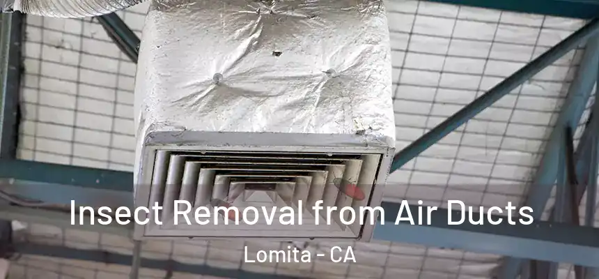  Insect Removal from Air Ducts Lomita - CA
