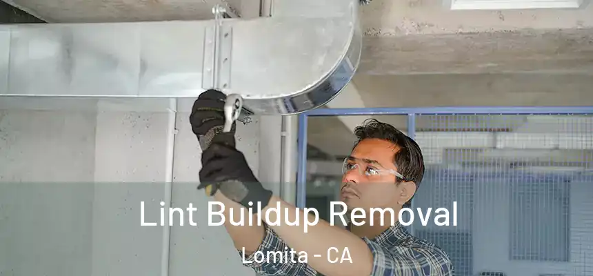  Lint Buildup Removal Lomita - CA
