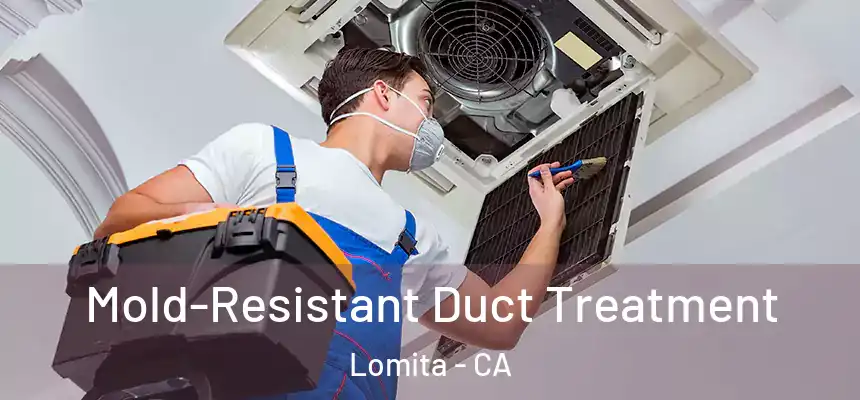  Mold-Resistant Duct Treatment Lomita - CA