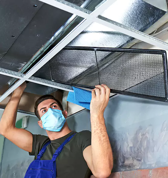 Professional Air Duct Pollen Cleaning in Lomita, CA