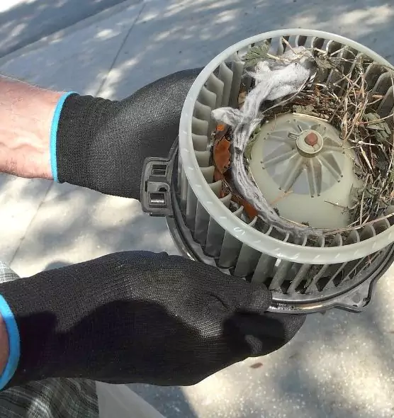 About Air Duct Rat Removal in Lomita, CA