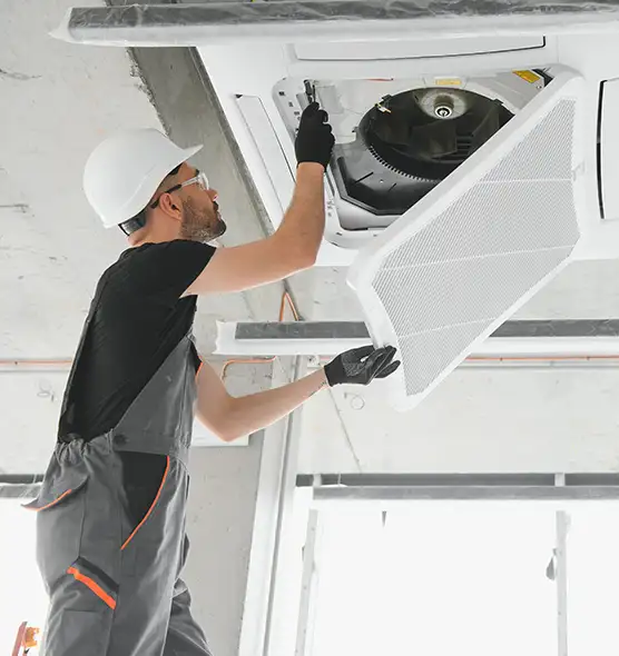 About Air Duct Rodent Removal in Lomita, CA