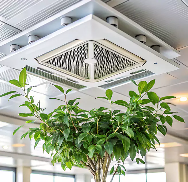 Why Homeowners & Businesses Trust Us in Lomita, CA?