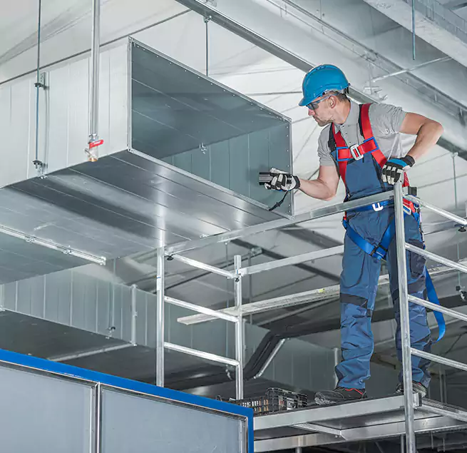 Why Homeowners & Businesses Trust Us Lomita, CA